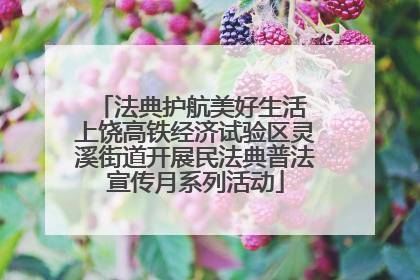 法典护航美好生活 上饶高铁经济试验区灵溪街道开展民法典普法宣传月系列活动